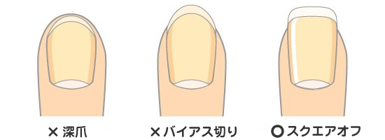 爪の切り方