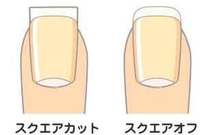 スクエアカットとスクエアオフ